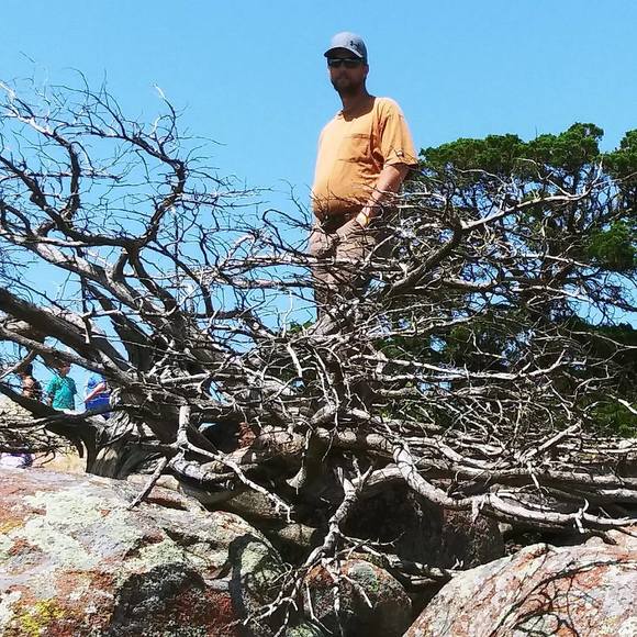 Meet your Posher, Tyler - Picture 1 of 1